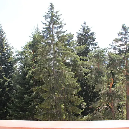 One Bedroom 602 In Rila Park Apartment Borowez